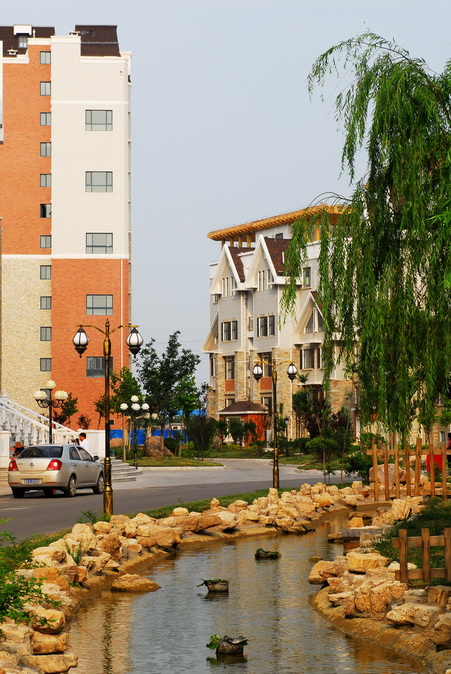 145735dx2xijz2ox2r262w.jpg