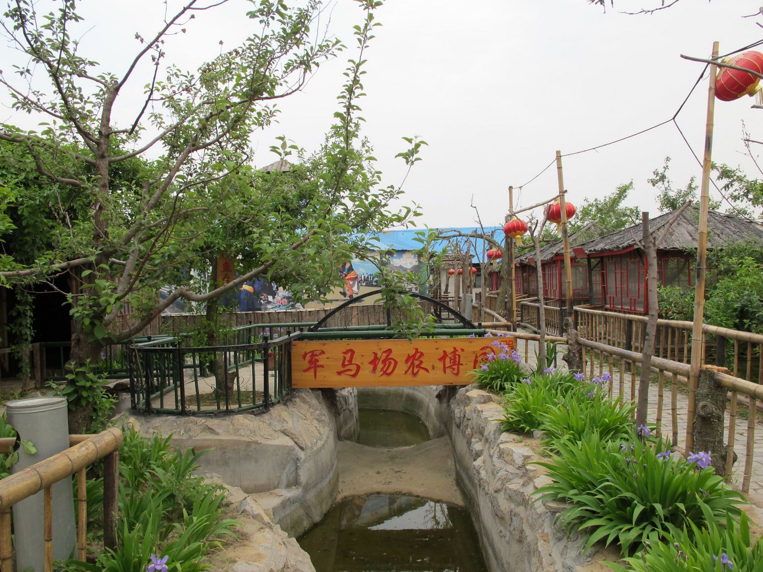 150605tt56n7wfthyh3pgr.jpg